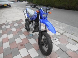 }nXT250X iLLskj摜1
