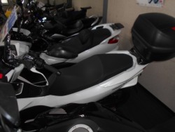 �z���_PCX150�i�L�����L���s�����k��j�摜2