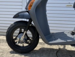 �X�Y�L���b�c4�i�L�����L���s�������j�摜9