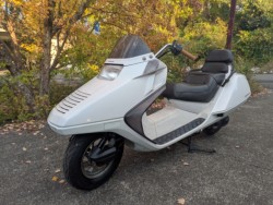 �z���_�t���[�W������^�C�vX�i���Q�������s�j�摜2