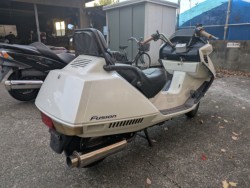 �z���_�t���[�W������^�C�vX�i���Q�������s�j�摜7