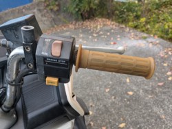 �z���_�t���[�W������^�C�vX�i���Q�������s�j�摜13