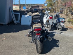 �z���_���u��250�i���Q�������s�j�摜6