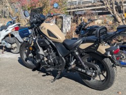 �z���_���u��250�i���Q�������s�j�摜5