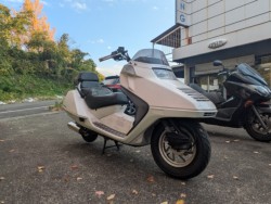 �z���_�t���[�W������^�C�vX�i���Q�������s�j�摜8