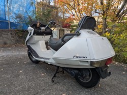 �z���_�t���[�W������^�C�vX�i���Q�������s�j�摜4