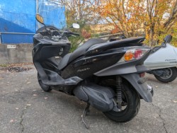 �z���_�t�H���c�@�i���Q�������s�j�摜6