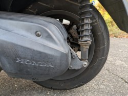 �z���_�t�H���c�@�i���Q�������s�j�摜9