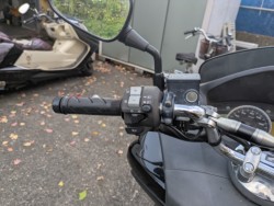 �z���_�t�H���c�@�i���Q�������s�j�摜13