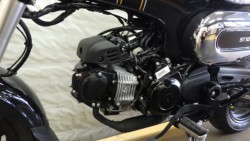 �z���_�_�b�N�X125�i���Q�����R�s�j�摜20