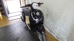 �z���_�W�����m�i���Q�����R�s�j�摜7