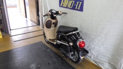 �z���_�W�����m�i���Q�����R�s�j�摜10