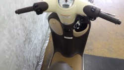 �z���_�W�����m�i���Q�����R�s�j�摜5