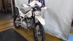 �J���T�LKLX230�i���Q�����R�s�j�摜2