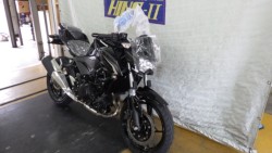 �J���T�LZ250�i���Q�����R�s�j�摜2