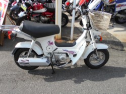V[50