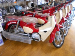 �z���_&nbsp;�X�[�p�[�J�u50 