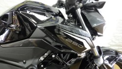 �J���T�LZ250�i���Q�����R�s�j�摜5