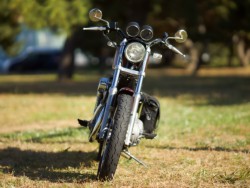 �n�[���[�n�[���[�_�r�b�h�\��XL1200S�i���Q�����R�s�j�摜4