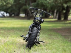 Thunder MotorcyclesSoftail THUNDER250�i���Q�����R�s�j�摜3