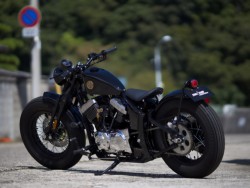 Thunder MotorcyclesSoftail THUNDER250�i���Q�����R�s�j�摜6