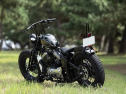 Thunder MotorcyclesSoftail THUNDER250�i���Q�����R�s�j�摜8