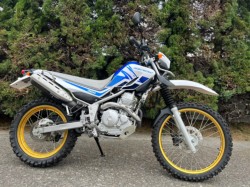 Z[250