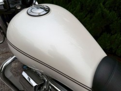 ���g�O�b�c�CCalifornia 1100 VINTAGE�i���R���q�~�s�j�摜9