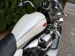 ���g�O�b�c�CCalifornia 1100 VINTAGE�i���R���q�~�s�j�摜20