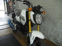 �z���_�O�����i���Q�����R�s�j�摜5