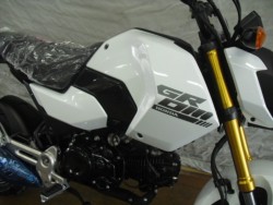 �z���_�O�����i���Q�����R�s�j�摜6