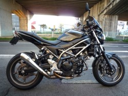 SV650