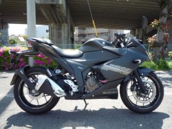 XYL WNT[SF250 