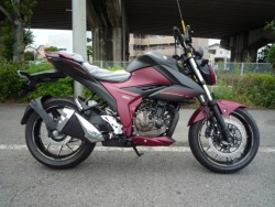 XYL WNT[250 