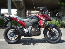 XYL VXg[250SX 