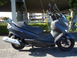 �X�Y�L&nbsp;�o�[�O�}��200 