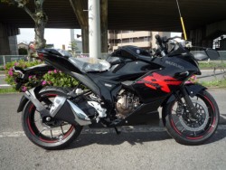 �X�Y�L&nbsp;�W�N�T�[SF250 