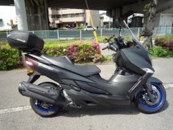 �o�[�O�}��400