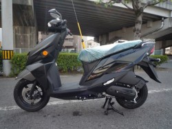 �X�Y�L�A���F�j�X125�i���Q�����R�s�j�摜2