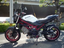 �X�Y�LSV650�i���Q�����R�s�j�摜2