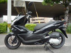 �z���_PCX�i���Q�����R�s�j�摜2
