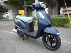 �X�Y�L�A�h���X125�i���Q�����R�s�j�摜3