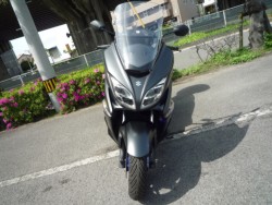 �X�Y�L�o�[�O�}��400�i���Q�����R�s�j�摜3