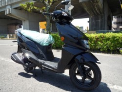�X�Y�L�A���F�j�X125�i���Q�����R�s�j�摜3
