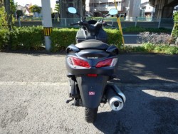 �X�Y�L�o�[�O�}��200�i���Q�����R�s�j�摜4