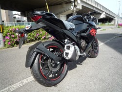 �X�Y�L�W�N�T�[SF250�i���Q�����R�s�j�摜4