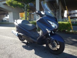 �X�Y�L�o�[�O�}��200�i���Q�����R�s�j�摜5