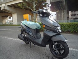 �X�Y�L�A���F�j�X125�i���Q�����R�s�j�摜5