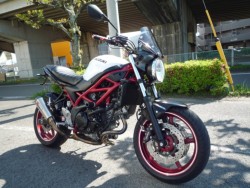 �X�Y�LSV650�i���Q�����R�s�j�摜5