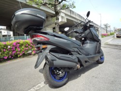 �X�Y�L�o�[�O�}��400�i���Q�����R�s�j�摜6